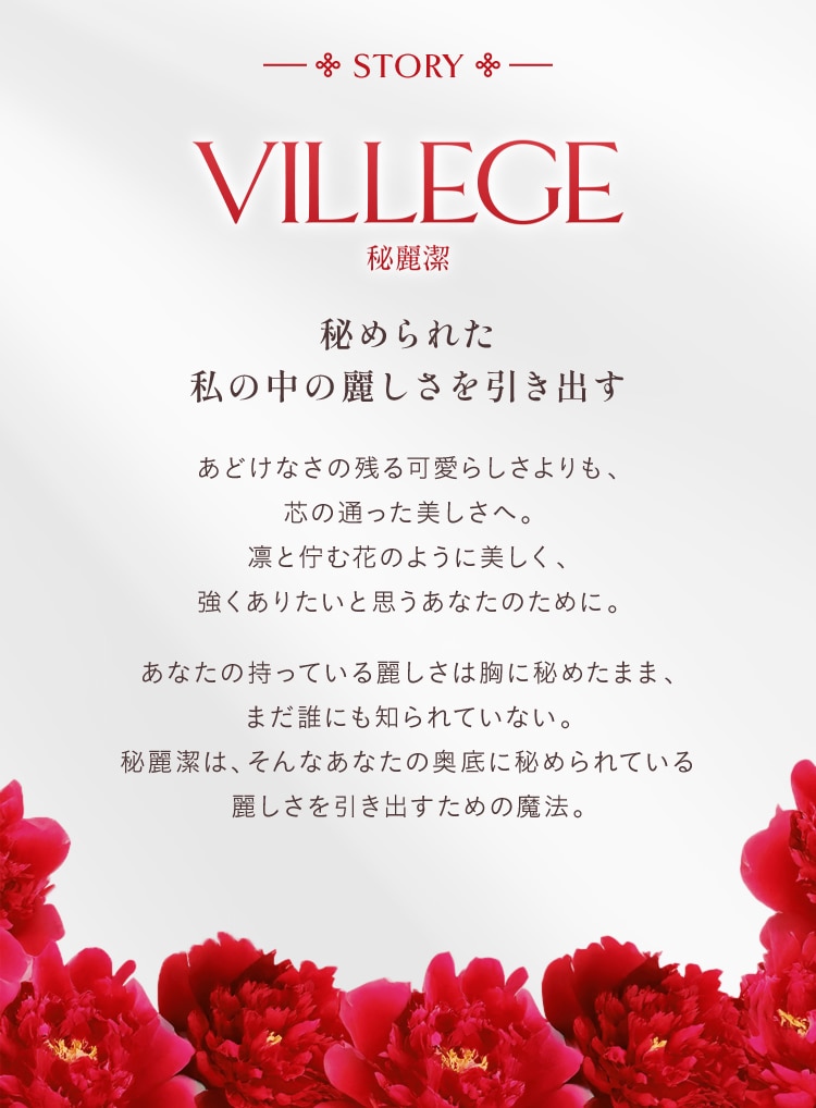 VILLEGE