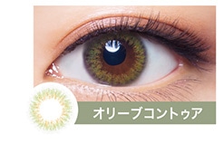 オリーブコントゥア