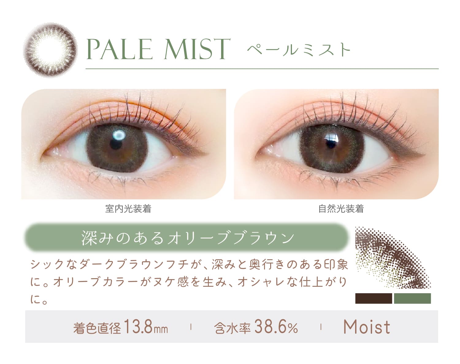 Ever Color 1day MOIST LABEL CXg[xyPALE MIST y[~Xgz