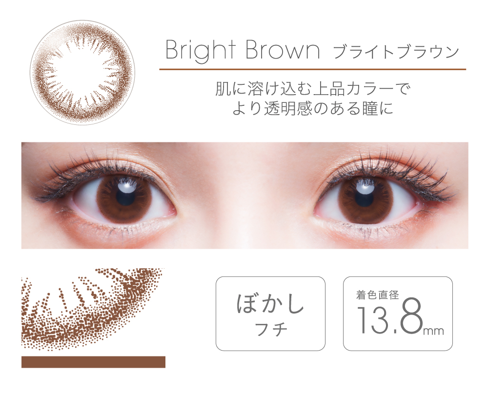 fairy 1day tFA[ f[yBright Brown uCguEz