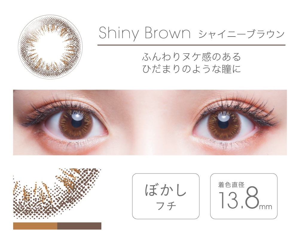 fairy 1day tFA[ f[yShiny Brown VCj[uEz