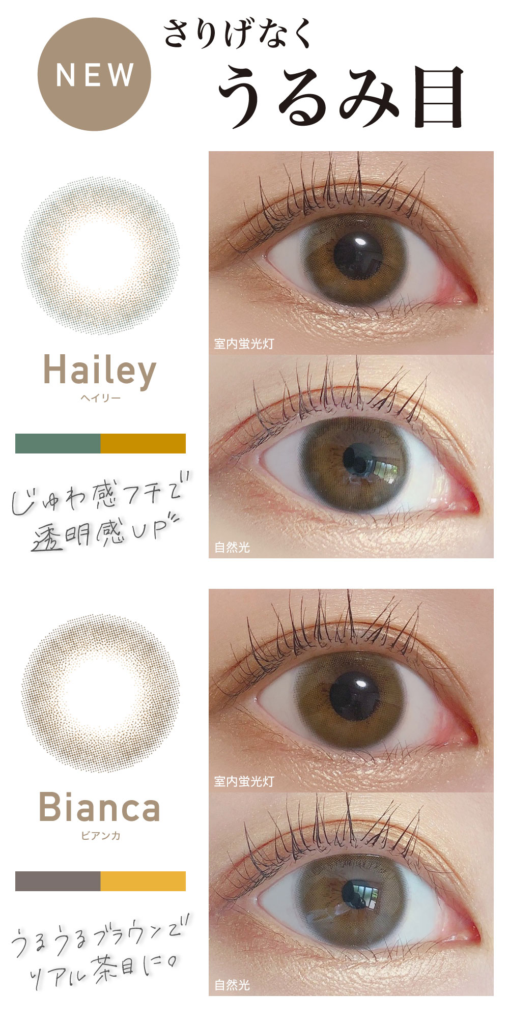 ReVIA 1day color BA f[ J[(C[WfF[)
