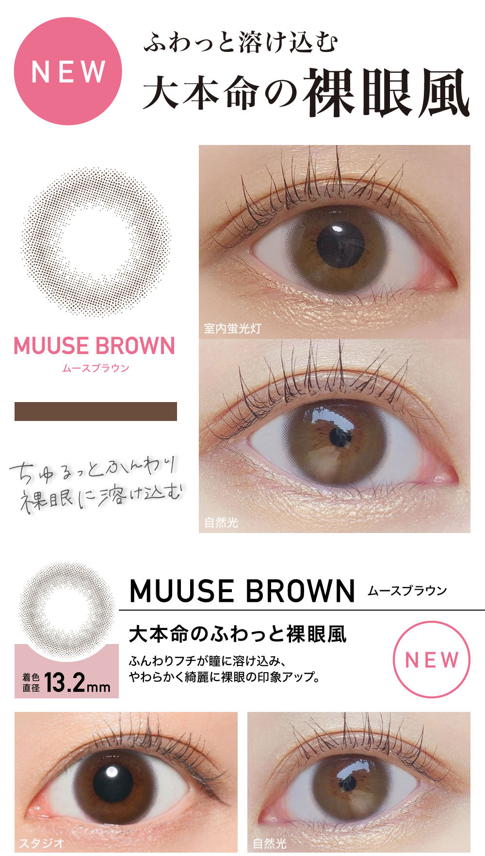 ReVIA 1day color BA f[ J[yMUUSE BROWN [XuEz