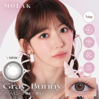 モラク ワンデー: カラコン・サークル | メガネスーパー公式通販(店頭